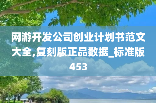 网游开发公司创业计划书范文大全,复刻版正品数据_标准版453