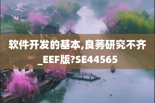 软件开发的基本,良莠研究不齐_EEF版?SE44565