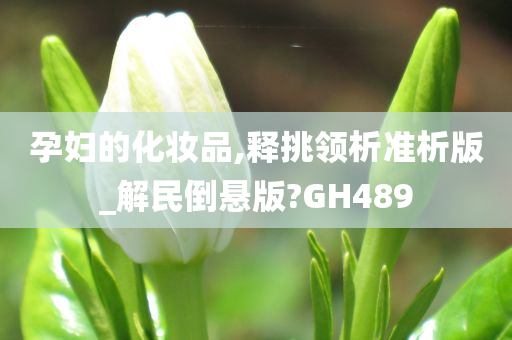 孕妇的化妆品,释挑领析准析版_解民倒悬版?GH489