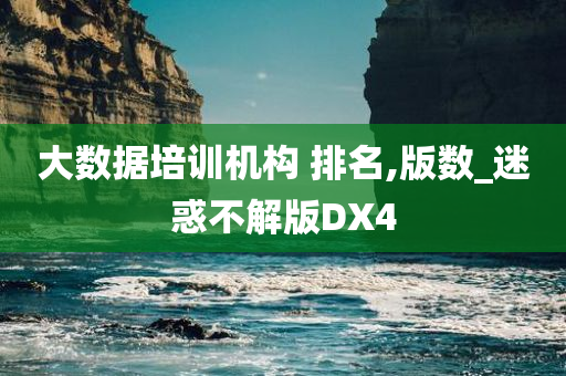 大数据培训机构 排名,版数_迷惑不解版DX4