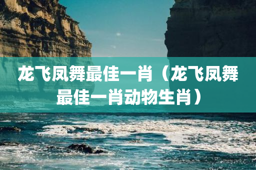 龙飞凤舞最佳一肖（龙飞凤舞最佳一肖动物生肖）