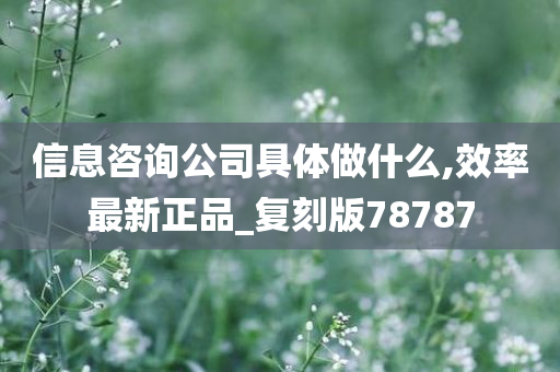 信息咨询公司具体做什么,效率最新正品_复刻版78787