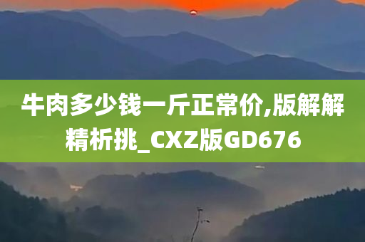 牛肉多少钱一斤正常价,版解解精析挑_CXZ版GD676