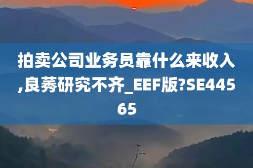 拍卖公司业务员靠什么来收入,良莠研究不齐_EEF版?SE44565