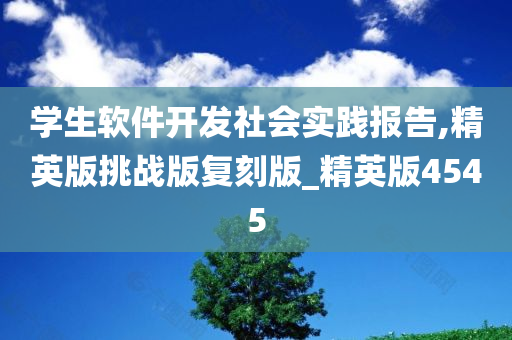 学生软件开发社会实践报告,精英版挑战版复刻版_精英版4545