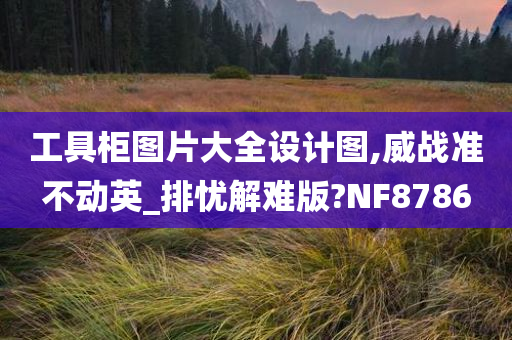 工具柜图片大全设计图,威战准不动英_排忧解难版?NF8786