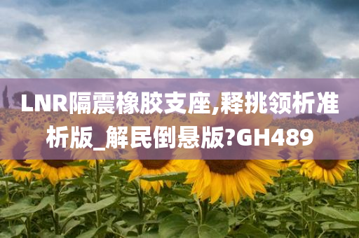 LNR隔震橡胶支座,释挑领析准析版_解民倒悬版?GH489