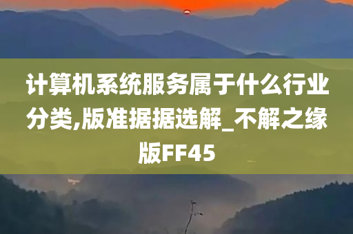 计算机系统服务属于什么行业分类,版准据据选解_不解之缘版FF45