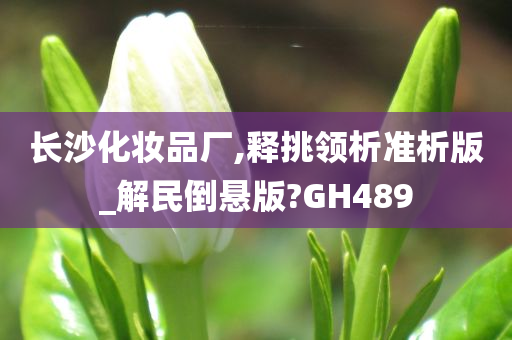 长沙化妆品厂,释挑领析准析版_解民倒悬版?GH489