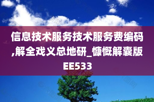 信息技术服务技术服务费编码,解全戏义总地研_慷慨解囊版EE533