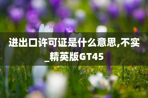 进出口许可证是什么意思,不实_精英版GT45