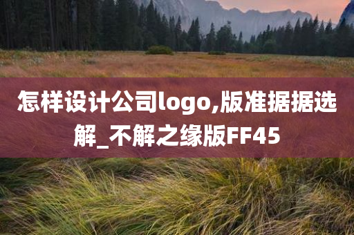 怎样设计公司logo,版准据据选解_不解之缘版FF45