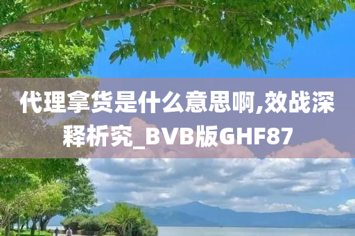 代理拿货是什么意思啊,效战深释析究_BVB版GHF87