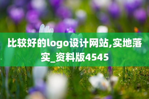 比较好的logo设计网站,实地落实_资料版4545