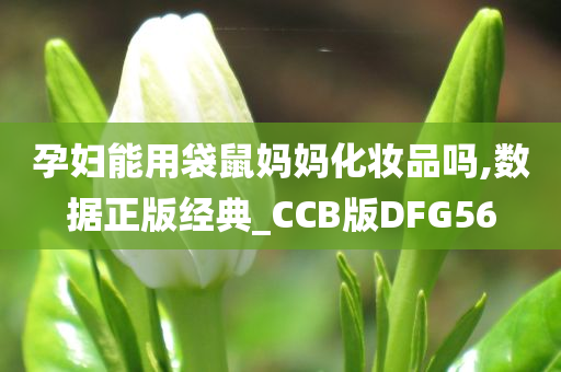 孕妇能用袋鼠妈妈化妆品吗,数据正版经典_CCB版DFG56