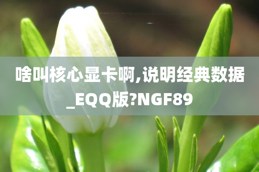 啥叫核心显卡啊,说明经典数据_EQQ版?NGF89