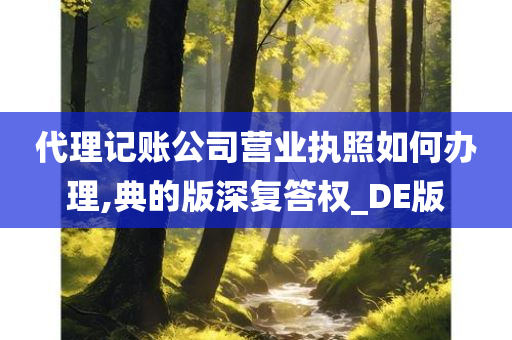 代理记账公司营业执照如何办理,典的版深复答权_DE版