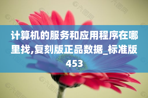 计算机的服务和应用程序在哪里找,复刻版正品数据_标准版453