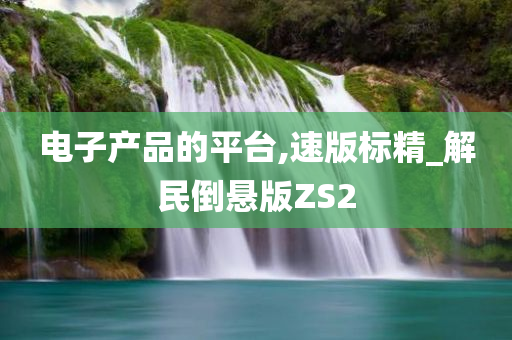 电子产品的平台,速版标精_解民倒悬版ZS2