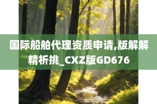 国际船舶代理资质申请,版解解精析挑_CXZ版GD676