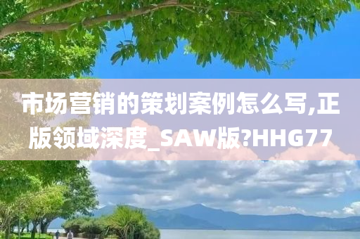 市场营销的策划案例怎么写,正版领域深度_SAW版?HHG77