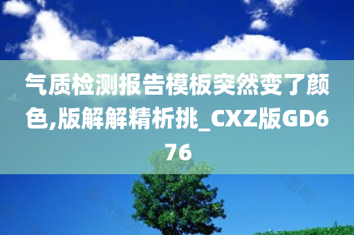 气质检测报告模板突然变了颜色,版解解精析挑_CXZ版GD676