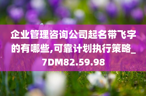 企业管理咨询公司起名带飞字的有哪些,可靠计划执行策略_7DM82.59.98