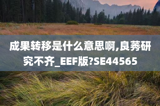 成果转移是什么意思啊,良莠研究不齐_EEF版?SE44565