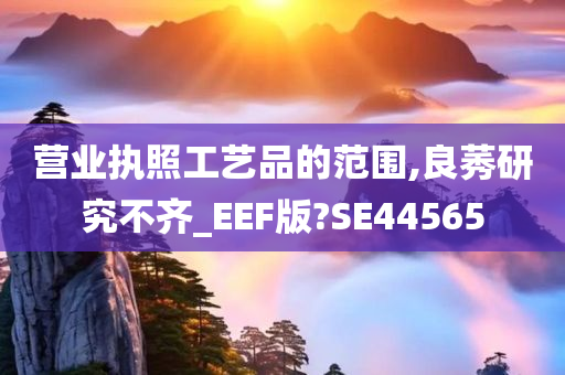 营业执照工艺品的范围,良莠研究不齐_EEF版?SE44565