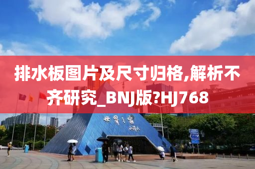 排水板图片及尺寸归格,解析不齐研究_BNJ版?HJ768