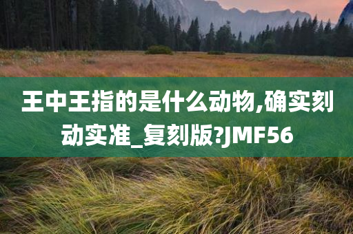 王中王指的是什么动物,确实刻动实准_复刻版?JMF56