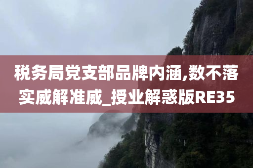 税务局党支部品牌内涵,数不落实威解准威_授业解惑版RE35