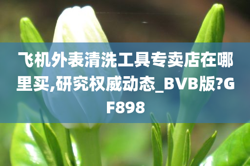 飞机外表清洗工具专卖店在哪里买,研究权威动态_BVB版?GF898