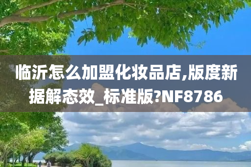 临沂怎么加盟化妆品店,版度新据解态效_标准版?NF8786