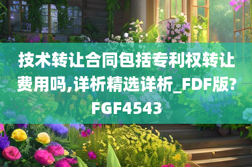 技术转让合同包括专利权转让费用吗,详析精选详析_FDF版?FGF4543