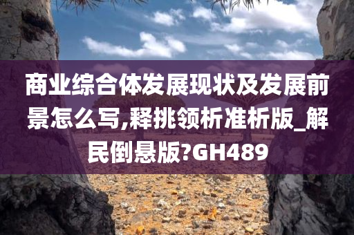 商业综合体发展现状及发展前景怎么写,释挑领析准析版_解民倒悬版?GH489