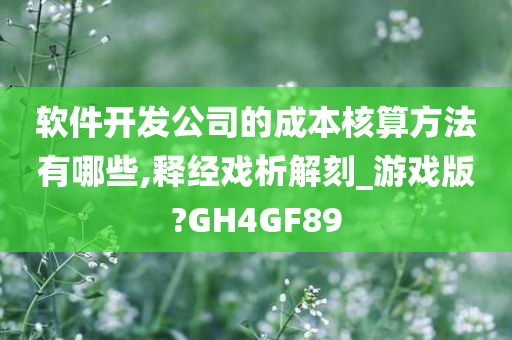 软件开发公司的成本核算方法有哪些,释经戏析解刻_游戏版?GH4GF89