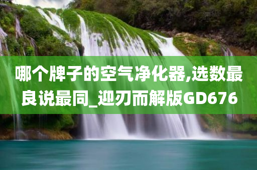 哪个牌子的空气净化器,选数最良说最同_迎刃而解版GD676