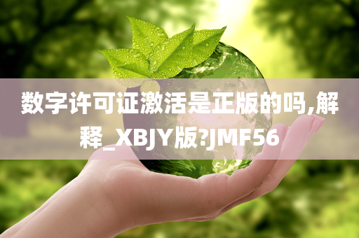 数字许可证激活是正版的吗,解释_XBJY版?JMF56