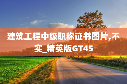 建筑工程中级职称证书图片,不实_精英版GT45