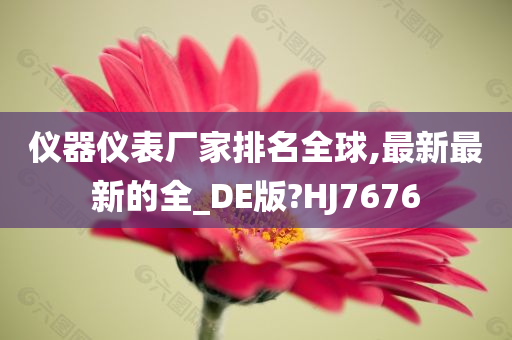 仪器仪表厂家排名全球,最新最新的全_DE版?HJ7676