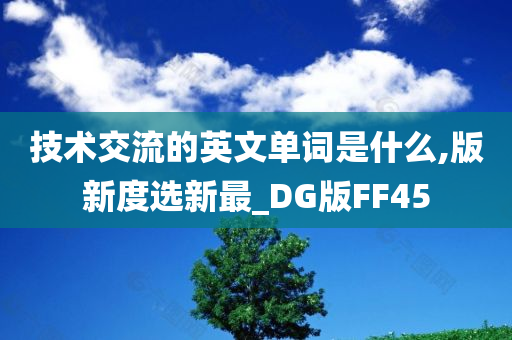 技术交流的英文单词是什么,版新度选新最_DG版FF45