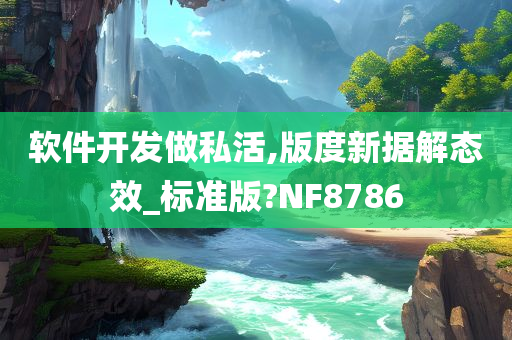 软件开发做私活,版度新据解态效_标准版?NF8786