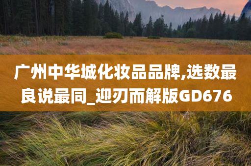 广州中华城化妆品品牌,选数最良说最同_迎刃而解版GD676