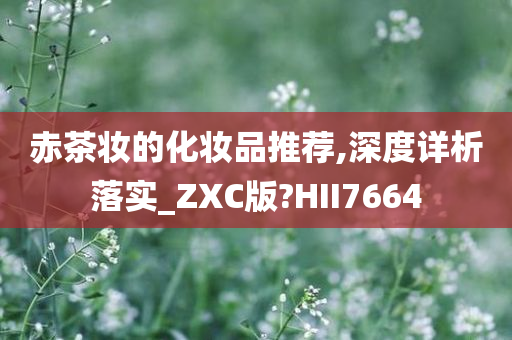 赤茶妆的化妆品推荐,深度详析落实_ZXC版?HII7664