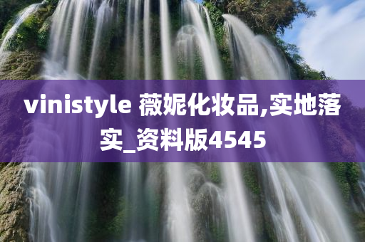 vinistyle 薇妮化妆品,实地落实_资料版4545