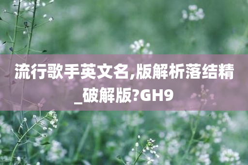 流行歌手英文名,版解析落结精_破解版?GH9