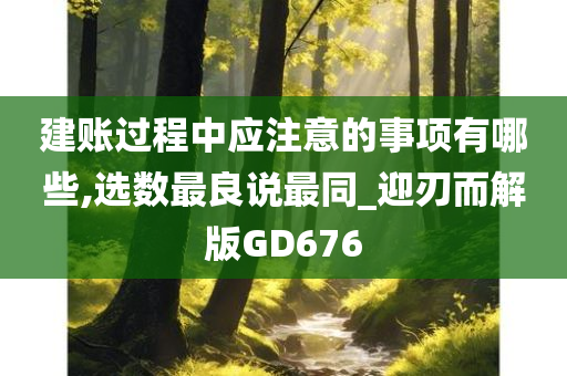 建账过程中应注意的事项有哪些,选数最良说最同_迎刃而解版GD676