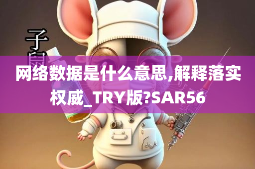 网络数据是什么意思,解释落实权威_TRY版?SAR56