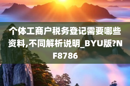 个体工商户税务登记需要哪些资料,不同解析说明_BYU版?NF8786